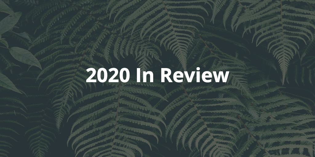 Text: 2020 In Review, with ferns in the background